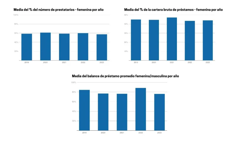 Gráfico 1 Media % prestatarios cartera bruta de préstamos balance femenino masculino por año