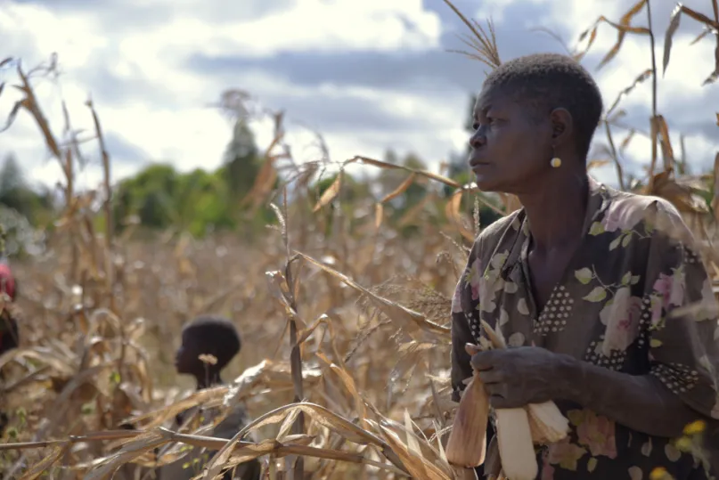 Crédit photo : Kirk Mason, concours photo du CGAP 2015.