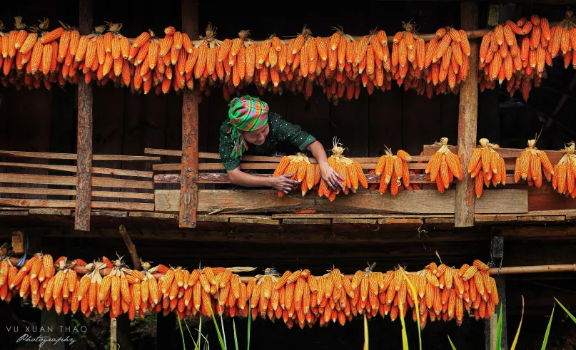 A highland woman in Vietnam. Thao Vu Xuan, 2016 CGAP Photo Contest.