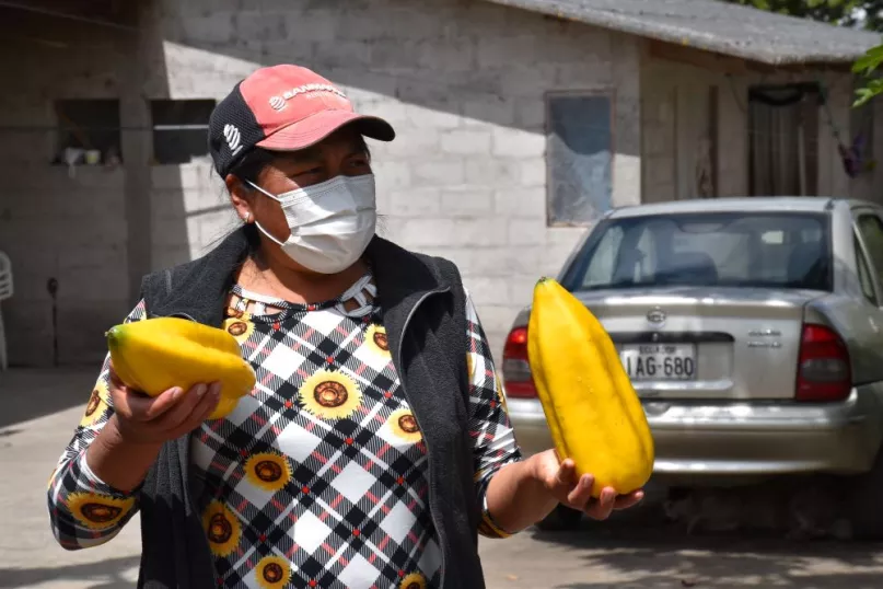 A woman member and benefactor of Cooperativa de Ahorro y Credito Mujeres Unidas (CACMU) in Ecuador with her primary crop, the babaco fruit. 