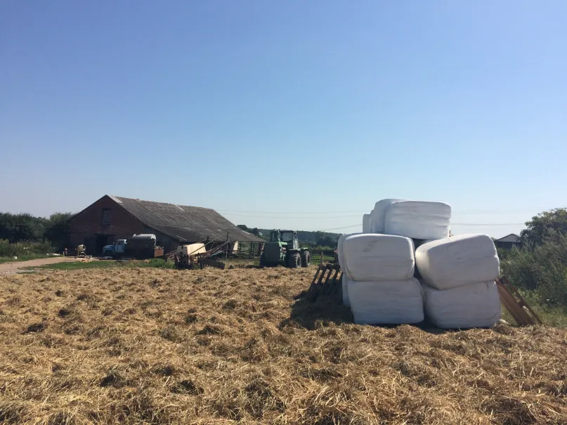 Farm in Ukraine.