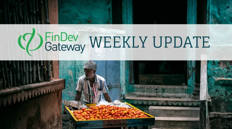 A fruit vendor pushing his cart. Photo by Partha Sarathi Dalal, 2016 CGAP Photo Contest.