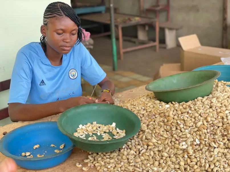 Une femme épluchant des noix de cajou, utilisatrice de Wi-Agri.