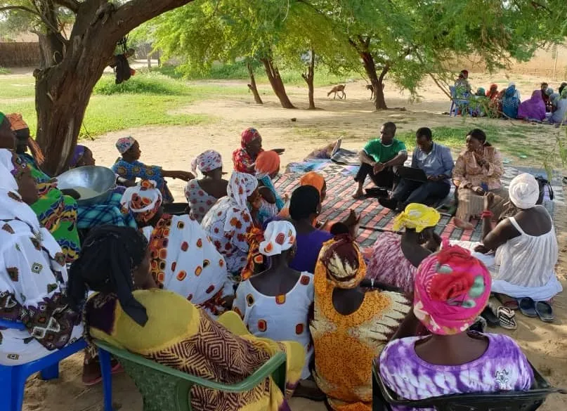 Group of women solidary group members sitting under a tree in Senegal.