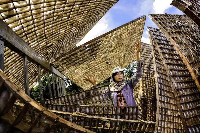 Silkworm processing, Vietnam. Photo credit: Tran Van Tuy, 2017 CGAP Photo Contest.