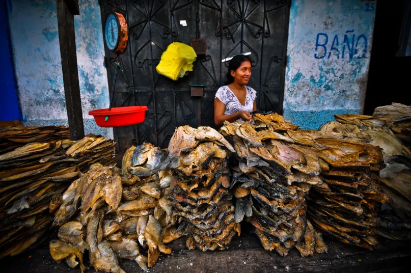 Mujer vendiendo en mercado informal. Foto: Marco Simola, Concurso de Fotografía CGAP 2011.