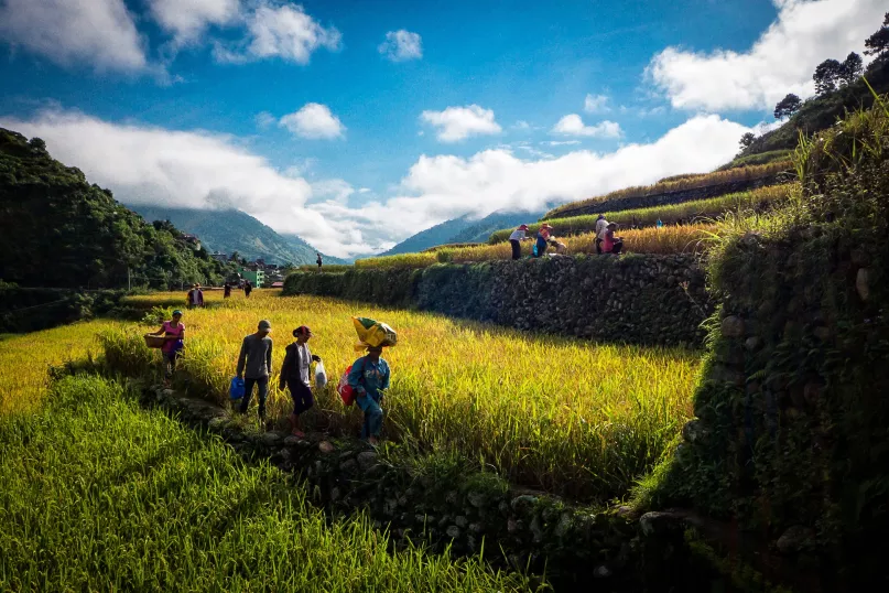 Farmers in the Philippines. Photo by Froi Rivera, 2017 CGAP Photo Contest.