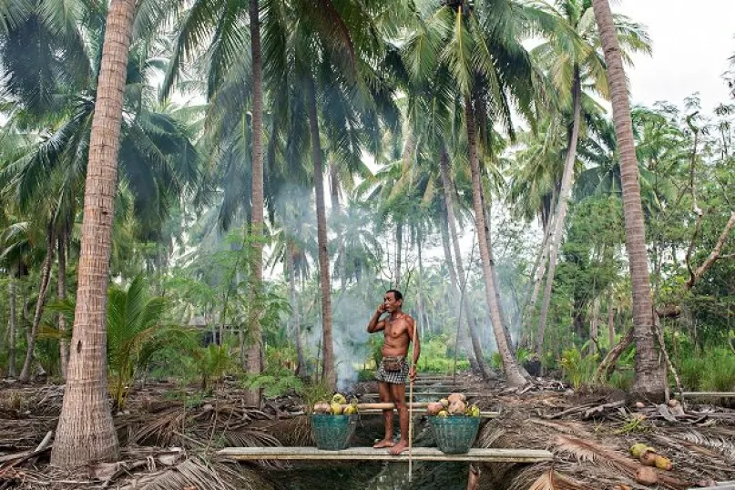 Man on phone under palm trees. Photo Credit: Eakarin Ekartchariyawong, 2016 CGAP Photo Contest.