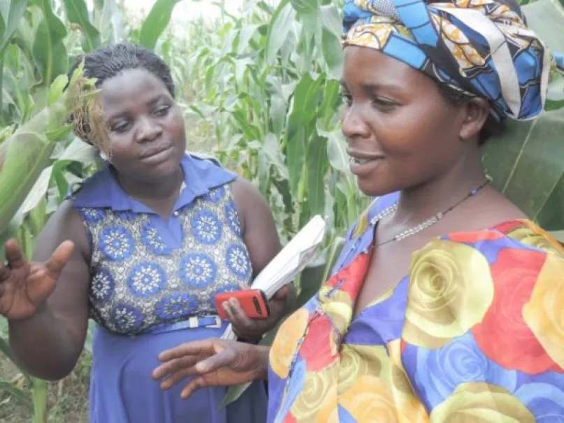 Women in field, Uganda. Photo credit: SEEP Network.