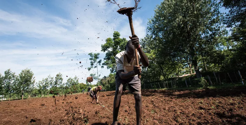 Les plantations de Joseph Khisa. Photo de Hailey Tucker. Concours photos du CGAP 2016. 