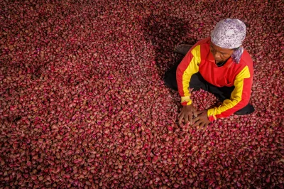 Crédit photo : Gerdie Hutomo Nurhadi, CGAP 2016.