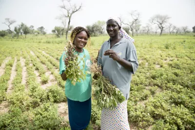 Crédit photo : Natalie Brown, CGAP 2018.