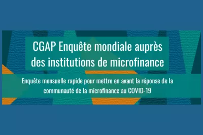 Enquête mondiale auprès des institutions de microfinance