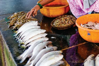 Selling fish in the market. IFC photo