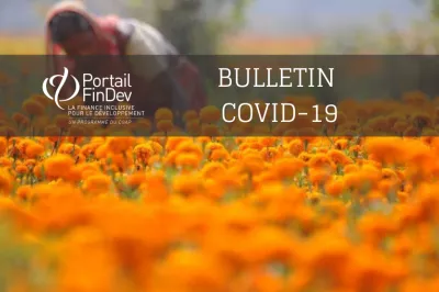 Bulletin d'information sur le COVID-19