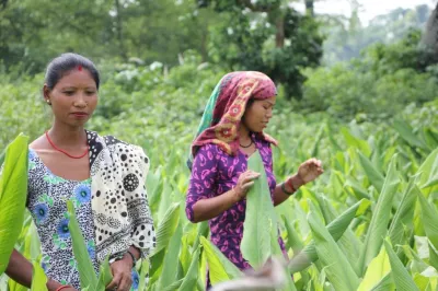 Visit to the turmeric fields, Nepal. Photo credit: The Organic Village.