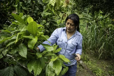 Foto: Mujer rural. Gentileza Bancamía.