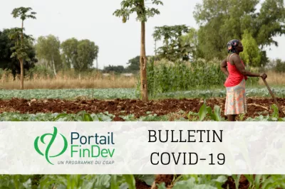 Bulletin d'information sur le COVID-19