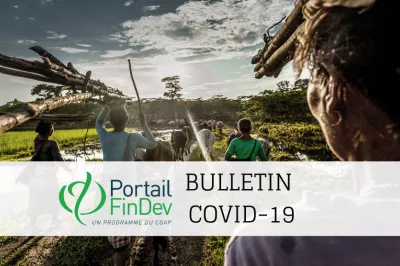 Bulletin d'information sur le COVID-19