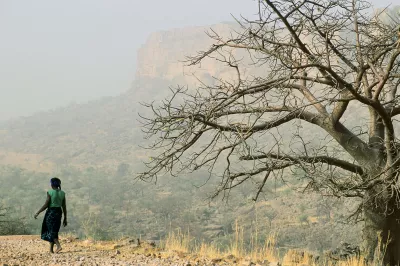 Un femme s'éloigne d'un arbre sec.