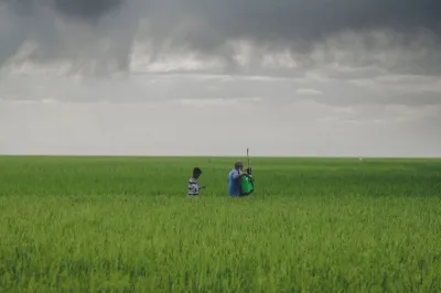 Cloudy sky over green rice fields which extend to horizon.