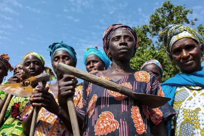 Cultivatrice de riz en Casamance, Sénégal. 