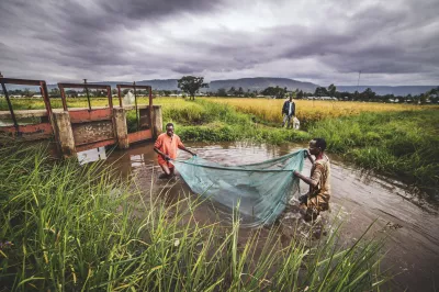 Deux hommes utilisent un filet pour pêcher.