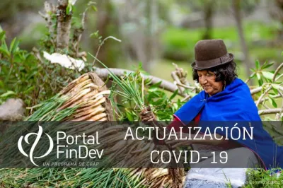 Mujer sentada trabajando con una cosechando cebollas en Colombia.