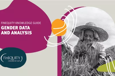 FinEquity Knowledge Guide: Gender Data and Analysis 