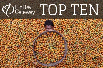 Betel nut harvest, Bangladesh.