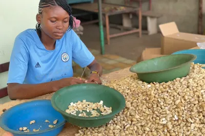 Une femme épluchant des noix de cajou, utilisatrice de Wi-Agri.