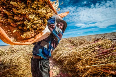 Hombre trabajando. Foto: Wim Opmeer, Concurso de Fotografía CGAP 2013.