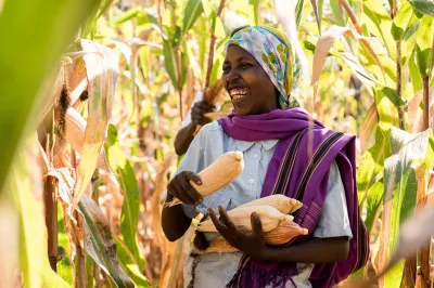 Récolte de Saraphine Nirere au Rwanda. Photo de Hailey Tucker. Concours photos du CGAP 2016.