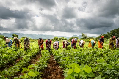 Tous ensemble. Photo de Wim Opmeer. Concours photos du CGAP 2016.