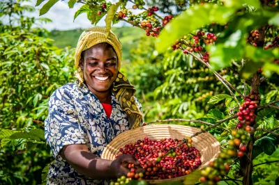 Crédit photo : Wim Opmeer, CGAP 2018. 