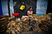 Foto: Marco Simola, Concruso de Fotografía CGAP 2011.