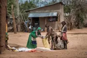 A woman in green selling beans to Hammer tribe ladies, South Ethiopia.