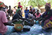 Savings group meeting in Senegal. Natalie Brown, 2018 CGAP Photo Contest.