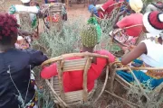 Women sitting on chairs in the open air.