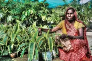 A Woman showing houseplants she cultivates. Photo by Vikash Singh CGAP Photo Contest 2015