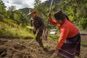 Mujeres rurales del Valle de Cauca. Foto: Fundación WWB Colombia.