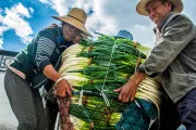 Loading Vegetables. Photo credit: Sandipan Majumdar, 2016 CGAP Photo Contest