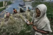 Mobile Banking. Photo credit: Sujan Sarkar, 2015 CGAP Photo Contest.