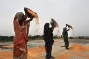 Women in agriculture, Bangladesh. Photo credit: Mahfuzul Hasan Bhuiyan, 2016 CGAP Photo Contest.