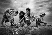 Sorting fish. Photo credit: Jaya Rakshit, 2015 CGAP Photo Contest.